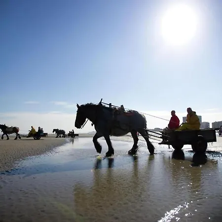 On Seawall With Stunning Views Apartment *