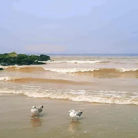 On Seawall With Stunning Views Nieuwpoort