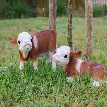 On Seawall With Stunning Views Lägenhet *