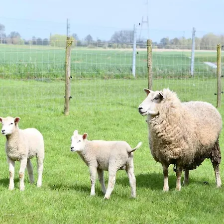 On Seawall With Stunning Views * Nieuwpoort