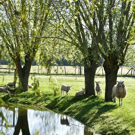 On Seawall With Stunning Views