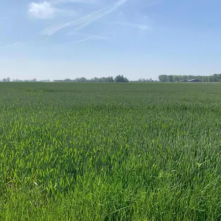 On Seawall With Stunning Views Lägenhet Nieuwpoort