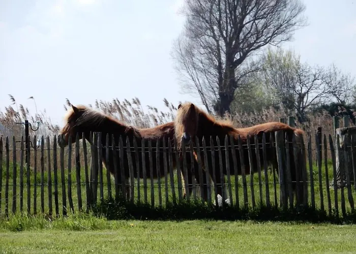 On Seawall With Stunning Views Apartment *