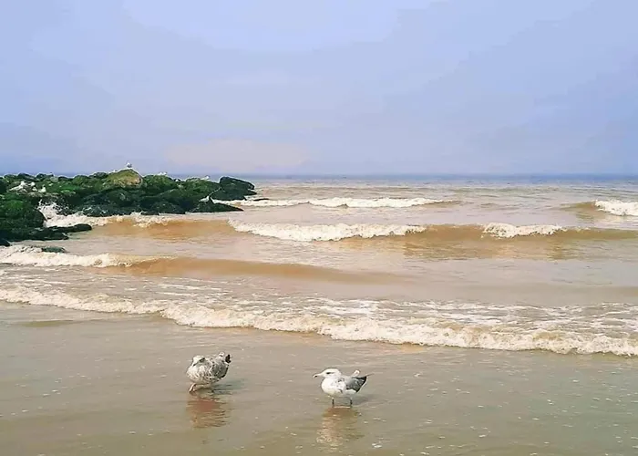On Seawall With Stunning Views Nieuwpoort