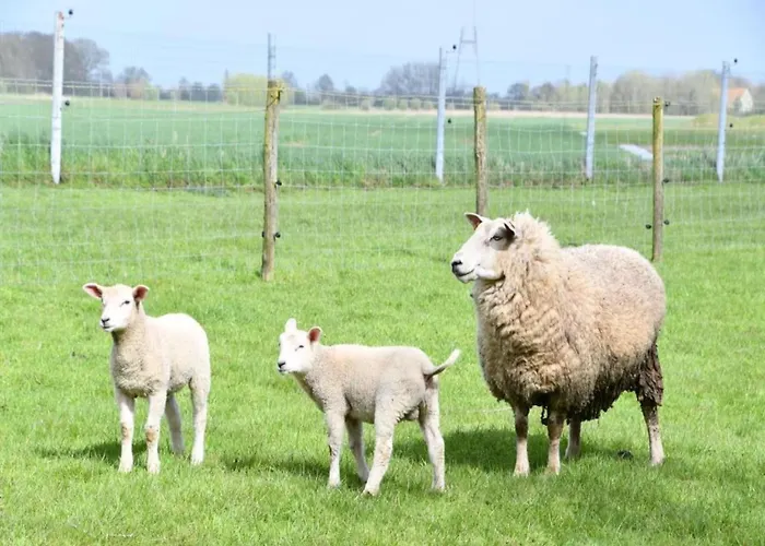 On Seawall With Stunning Views * Nieuwpoort