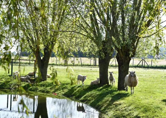 On Seawall With Stunning Views