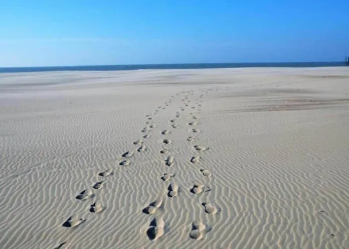 On Seawall With Stunning Views Apartment